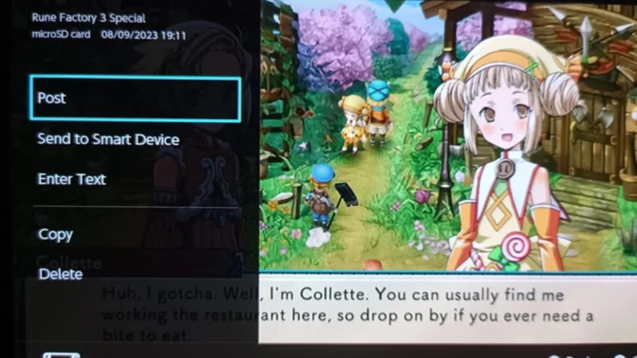 Rune Factory 3 Free Download For PC